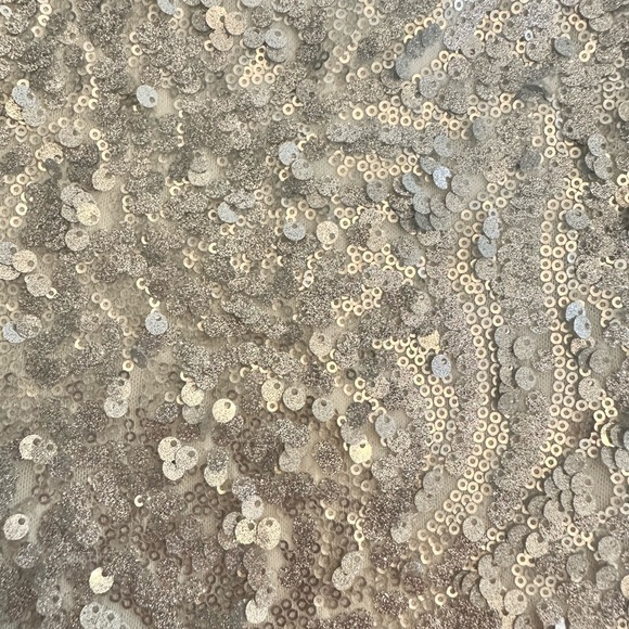 Adrianna Papell Plus Size Asymmetrical Hem Silver Sequin Dress - Picture 7 of 7